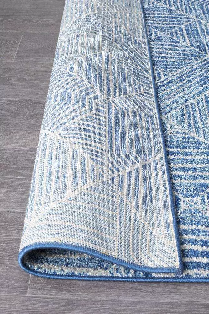 Narcissus 457 Navy