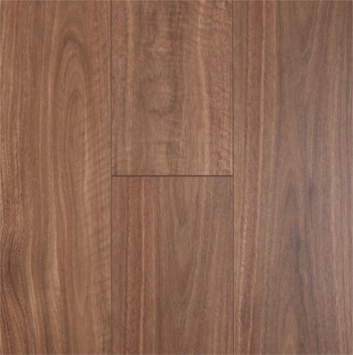 Spotted Gum