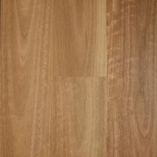 Spotted Gum