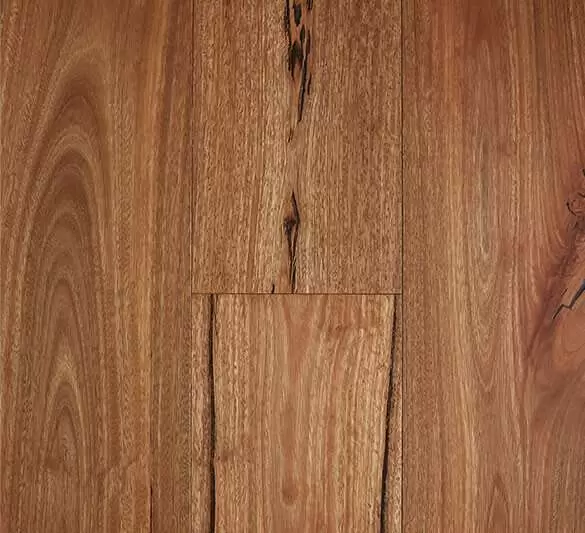 Spotted Gum Rustic