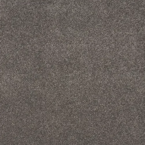 AVIVA carpet