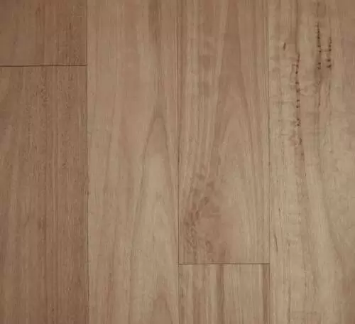 Blackbutt – Brushed Matte