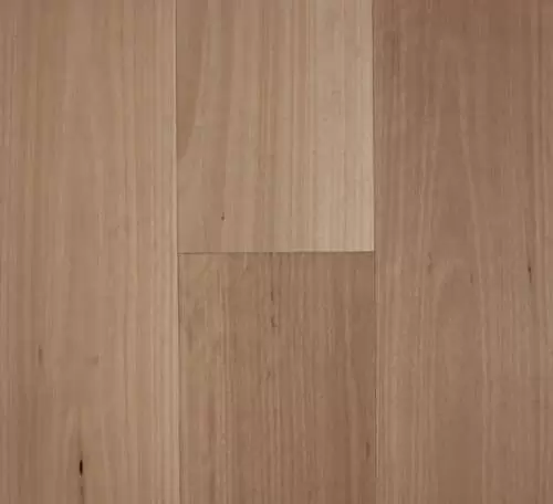 Blackbutt – Smooth Matte