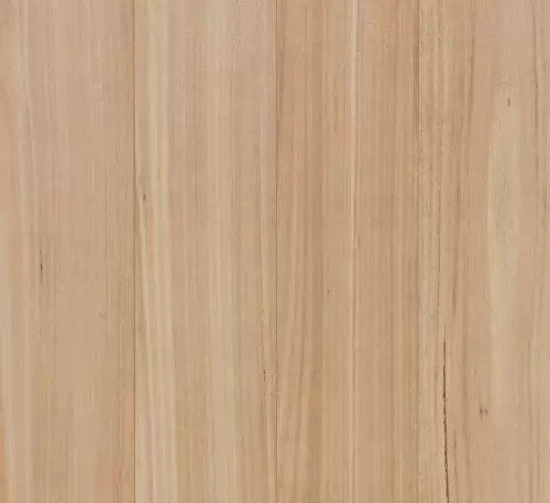 Blackbutt