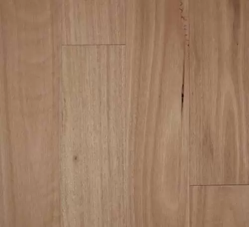 Blackbutt – Smooth Semi-Gloss