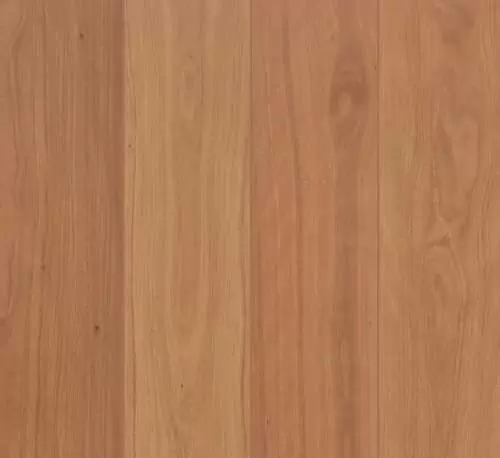 Brush Box