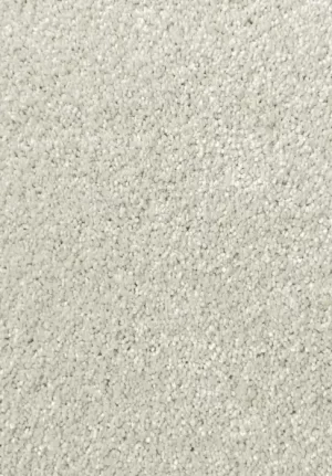 Lush carpet