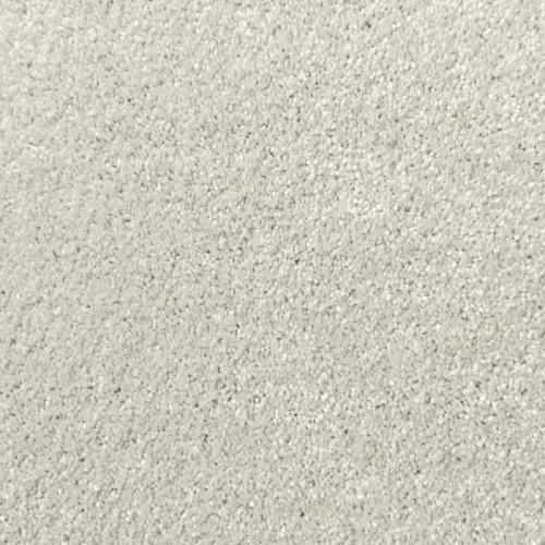Lush carpet