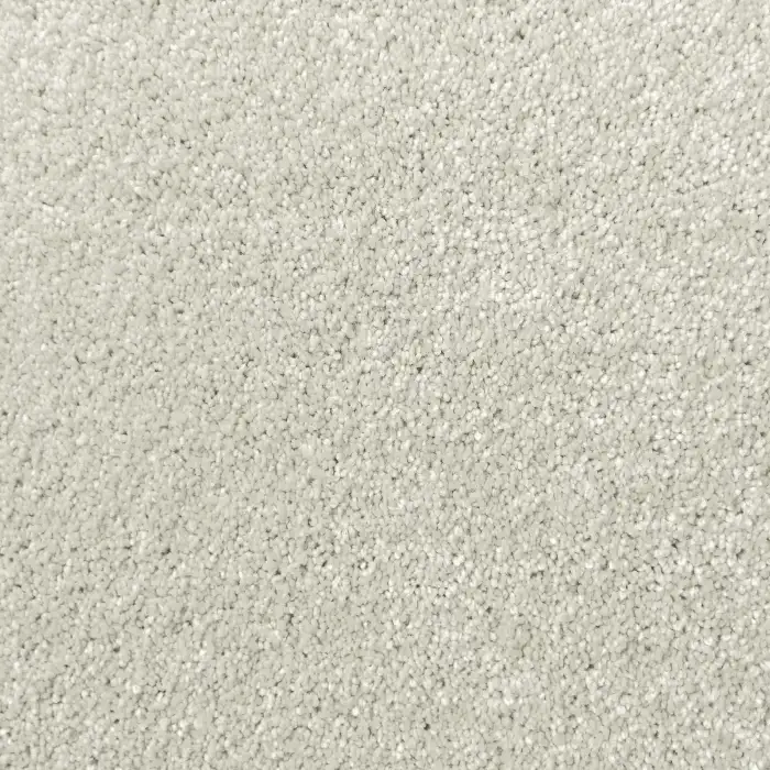 Lush carpet
