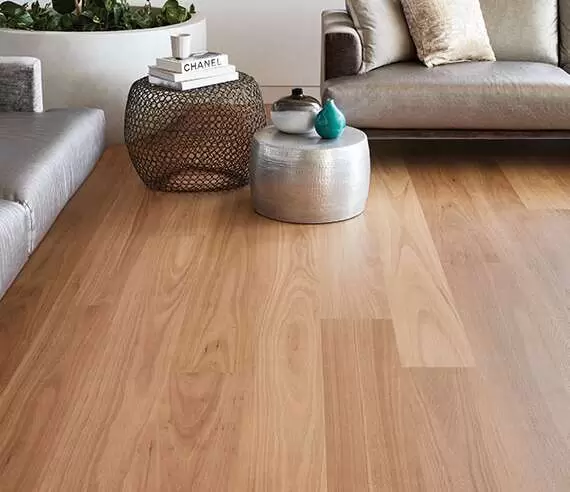 oak leaf hd - Blackbutt
