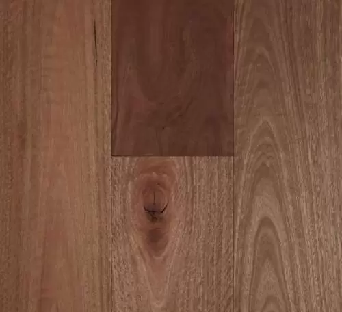 Spotted Gum – Smooth Matte