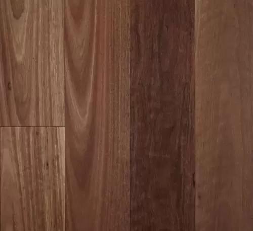 Spotted Gum – Smooth Semi-Gloss